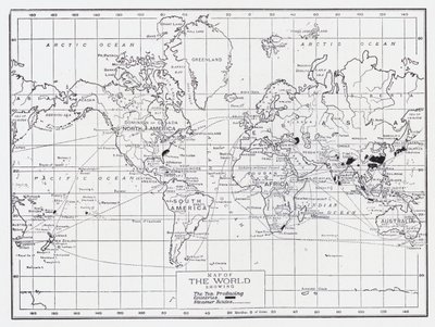 Mapa świata przedstawiająca kraje produkujące herbatę autorstwa English School