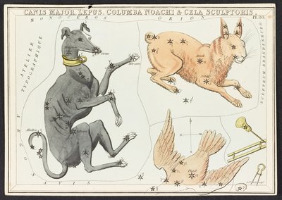 Mapy C.44.A.42 Canis Major Lepus, z „Zwierciadła Urania”; lub Widok niebios. [Pudełko z 32 kartami.]” autorstwa Jehoshaphata Aspina autorstwa English School