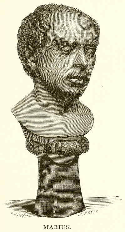 Mariusz autorstwa English School