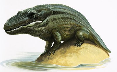 Mastodonozaur autorstwa English School
