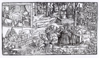 Uprawa Ziół Leczniczych, 1531 autorstwa English School