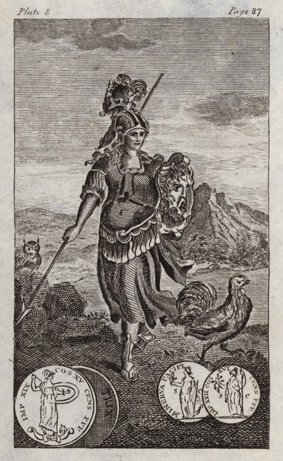 Minerva, czyli Pallas (grawerunek) autorstwa English School