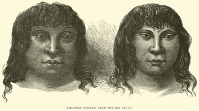 Indianie Miranhas, czarni z Rio autorstwa English School
