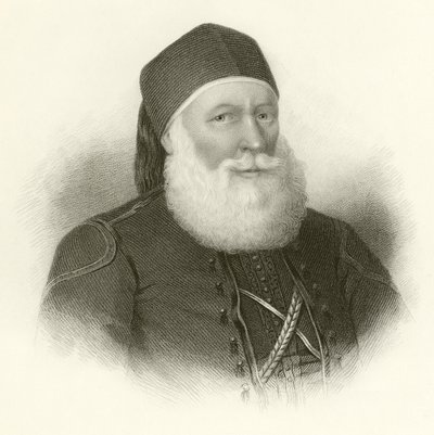 Mohammad Ali autorstwa English School