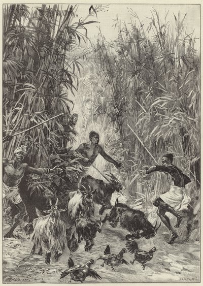 Ekspedycja humanitarna pana H.M. Stanleya Emina Paszy autorstwa English School