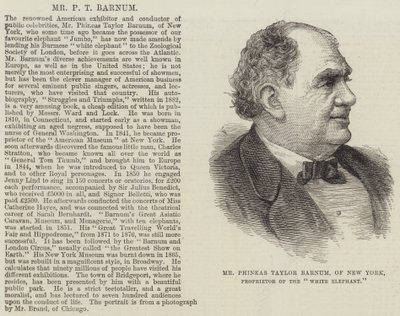 Pan Phineas Taylor Barnum z Nowego Jorku, właściciel „białego słonia” (rycina) autorstwa English School