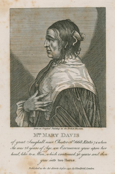 Pani Mary Davis z wielkiego Saughall niedaleko Chester, 1668 autorstwa English School
