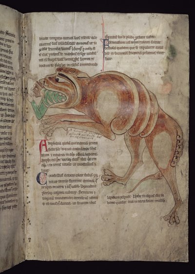 Ms.254 f.24 r Cocodrillus połykający mężczyznę autorstwa English School