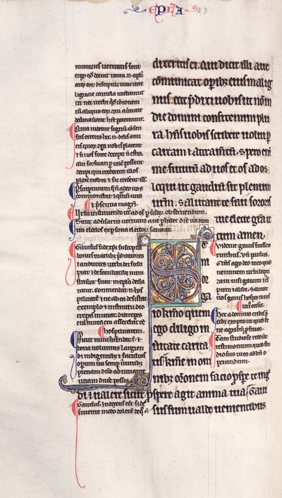 Ms.27, f.132v: Strona z glosowanej kopii Nowego Testamentu autorstwa English School