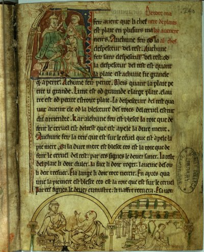 Pani O.1.20.f.241v Jerome: Lekarz odwiedzający pacjenta i aptekarz, z „De Nominibus Herbraicis” (welum) autorstwa English School
