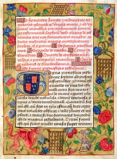 Ms 261 fol.1r Strona ze zbioru traktatów o zarazie po łacinie i angielsku, ok. 1500 autorstwa English School