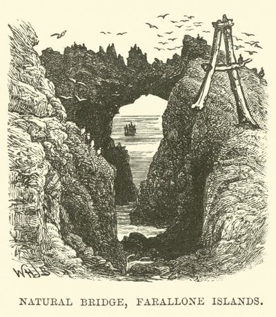 Naturalny most, Wyspy Farallone autorstwa English School