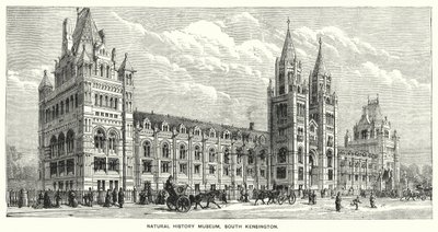 Muzeum Historii Naturalnej, South Kensington (grafika) autorstwa English School