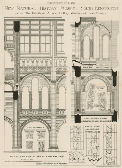 Nowe Muzeum Historii Naturalnej, South Kensington, Londyn autorstwa English School
