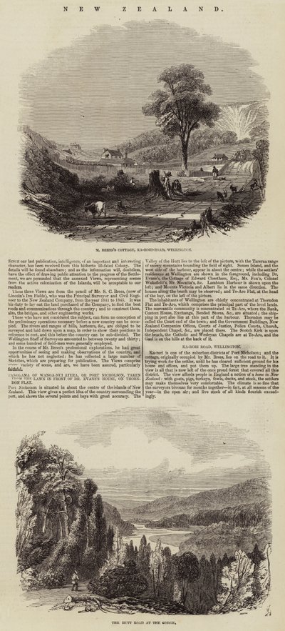Nowa Zelandia (grawerowanie) autorstwa English School