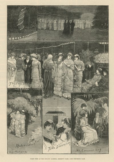 Nocny festyn w Ogrodzie Botanicznym autorstwa English School