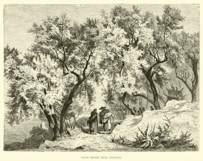 Gaj oliwny w pobliżu Venafro autorstwa English School
