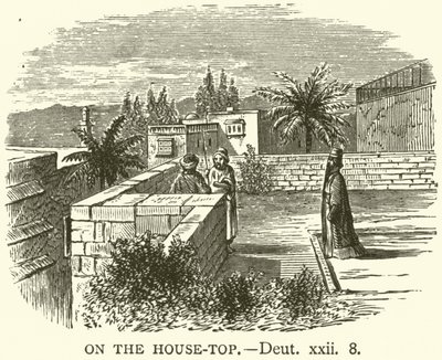 Na szczycie domu, Pwt, xxii, 8 (rycina) autorstwa English School