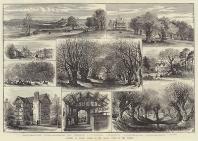 Otwarcie Epping Forest przez królową, Widoki w lesie (rycina) autorstwa English School