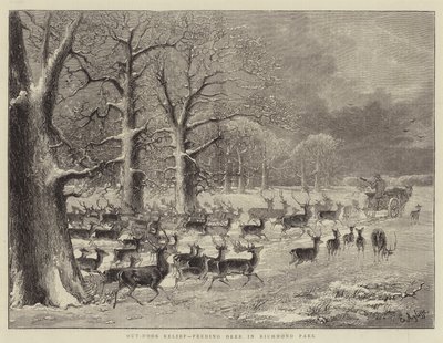 Relief na świeżym powietrzu, karmienie jelenia w Richmond Park (grawerunek) autorstwa English School