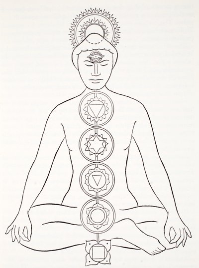 Padmasana lub pozycja lotosu autorstwa English School