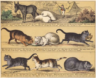 Strona z „Nowej książki z obrazkami” (kolor lito) autorstwa English School