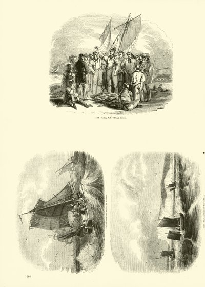 Strona z Obrazkowego Muzeum Przyrody Ożywionej autorstwa English School