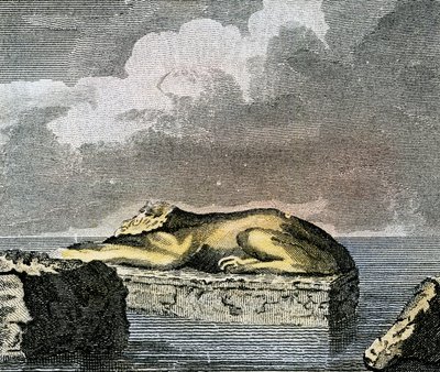 Część egipskiego sfinksa znaleziona w ruinach starożytnego miasta Canopus autorstwa English School