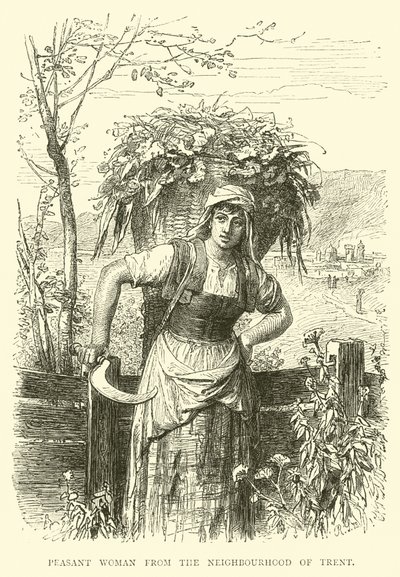 Chłopka z okolic Trent autorstwa English School