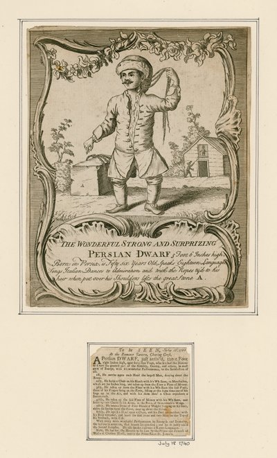 perski karzeł autorstwa English School