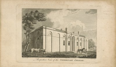 Perspektywiczny widok uczelni weterynaryjnej autorstwa English School