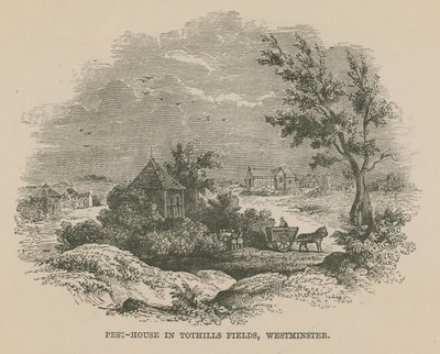 Dom szkodników w Tothill Fields autorstwa English School