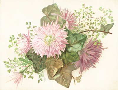 Różowe Kwiaty (Dalia), Kartka autorstwa English School