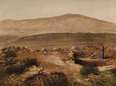 Miejsca wspomniane w Biblii: Studnia Jacobsa (chromolit) autorstwa English School