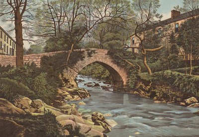 Plymouth: Ivybridge, niedaleko Plymouth (kolor litho) autorstwa English School