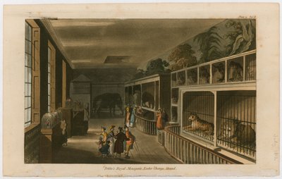 Politos Royal Menagerie, Exeter Change, Strand autorstwa English School