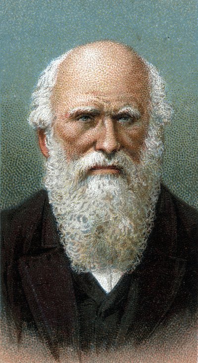 Portret Karola Roberta Darwina (1809-1882) - Z serii „”Przywódcy ludzi”” - Chromolitografia - Szkoła angielska, XX wiek - autorstwa English School