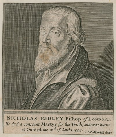 Portret Nicholasa Ridleya autorstwa English School