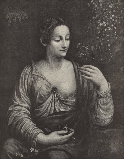 Portret młodej damy autorstwa English School
