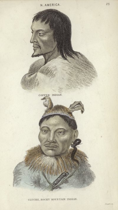 Portrety Indianina Copper i Indianina z Gór Skalistych (kolorowe grawerowanie) autorstwa English School