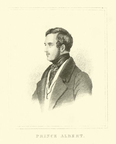 Książę Albert autorstwa English School