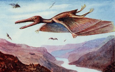 Pterodaktyl, z książki "The Wonder Book of would you believe it" pod redakcją Harry