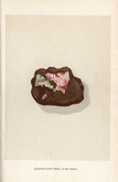 Opal Queensland w matrycy, z „Precious Stones and Gems” Edwina Streetera, Londyn, George Bell & Sons autorstwa English School