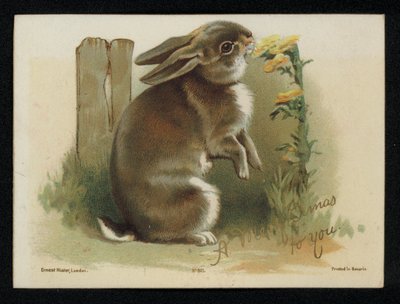 Królik jedzenie żółte kwiaty, życzenia świąteczne. (chromolit) autorstwa English School