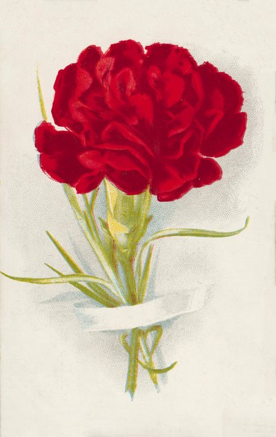 Czerwony goździk (chromolitho) autorstwa English School