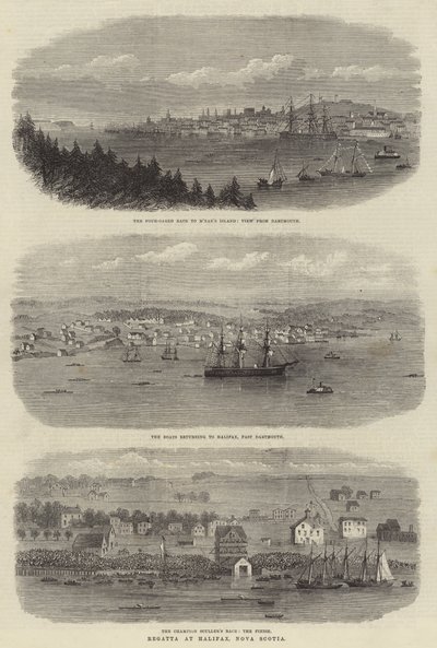 Regaty w Halifax w Nowej Szkocji (grawerowanie) autorstwa English School