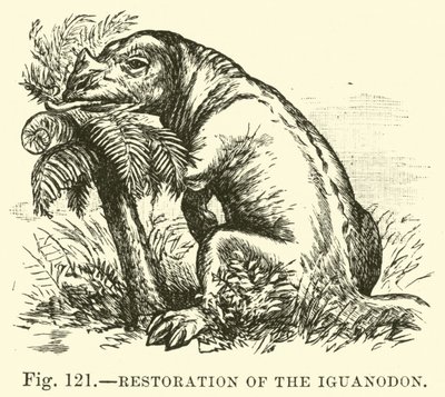 Przywrócenie Iguanodon autorstwa English School