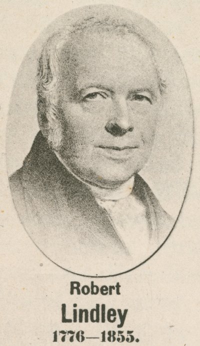 Robert Lindley (grawiura) autorstwa English School