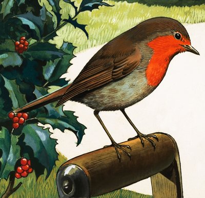 Robin Redbreast (gwasz na papierze) autorstwa English School