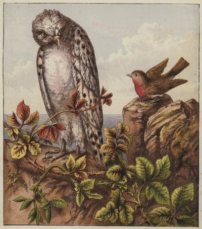 Świąteczna piosenka Robina (kolorowa litografia) autorstwa English School